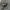 CARGO PANTS NIKE photo 4