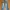 Denimitup Baggy Jeans 