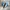 Adidas Handball Spezial Light blue / ice blue photo 4