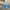 Adidas Handball Spezial Light blue / ice blue photo 1