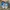 Adidas Handball Spezial Light blue / ice blue photo 2