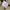 Nike vtg 90's photo 8