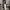 BAGGY JEANS - SLOWMOOD photo 2