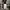 BAGGY JEANS - SLOWMOOD photo 1