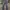 JEANS SHEIN CUTBRAY photo 1