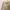 This is April Minimalist Casual Cardigan Wanita tan cream photo 2