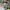 Kaos full print Looney toons yuanbeiyi photo 1