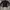 Partimento Vintage Indie Track jacket Pria black photo 1