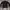 Partimento Vintage Indie Track Jacket Pria Black