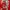 manchester united longsleve photo 5