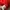 manchester united longsleve photo 8