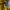 Adi Zero Running Parasut Yellow Tracktop photo 3