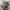 sneekers bekas style oversized gray/black style jordan kw photo 1