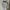 Jersey Lokal Vincent Sport France Vintage 90s Original photo 1