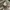 CARGO PANTS MULTI POCKET BY MV EYE SPORT  photo 9