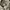 CARGO PANTS MULTI POCKET BY MV EYE SPORT  photo 8