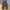 Denim Pants Wide Leg Dude dark green photo 1
