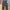 Denim Pants Wide Leg Dude Dark Green
