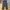 Denim Pants Wide Leg Dude dark green photo 2