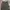 Denim Pants Wide Leg Dude dark green photo 3