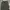 Denim Pants Wide Leg Dude dark green photo 4