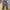 Chaakan Pants Wide Leg Ggsing olive photo 2