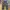 Chaakan Pants Wide Leg Ggsing olive photo 1