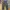 Chaakan Pants Wide Leg Ggsing Olive