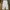 Mill Twill Balloon Pants Travel ivory photo 2