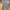 Triple Tuck Wide Pants Magasin Olive