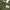 Triple Tuck Wide Pants Magasin olive photo 5