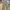 Triple Tuck Wide Pants Magasin Olive