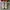 Converse 70s Hi Parchment photo 5