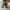 Converse 70s Field Surplus (Ijo army) photo 6