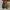Converse 70s Field Surplus (Ijo army) photo 7