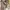 DR MARTENS 8287 Monkey Boots Docmart Made in England Mulus photo 6