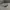 Vintage Oakley Wiretap Cobalt Brown Lens Original photo 2
