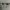 Vintage Oakley Wiretap Cobalt Brown Lens Original photo 6
