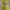 shoujo japanese sawako inspired pastel yellow flower dress photo 3