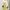 shoujo japanese sawako inspired pastel yellow flower dress photo 1