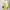 Shoujo Japanese Sawako Inspired Pastel Yellow Flower Dress