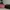 Michael Kors Cynthia Satchel warna merah photo 4
