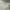 LOVE BONITO EMBROIDERED WHITE TOP / KATBOL TOP photo 4
