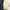 APC navy straight chino pants photo 8