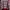 Sweater Rajut Garis Vintage Merah Putih – Unisex Oversize photo 1
