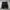 Dickies pants photo 1