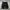 Dickies Pants