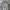 Partimento Tanker Military Flight Jacket photo 3