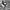 Partimento Tanker Military Flight Jacket photo 2
