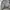 Partimento Tanker Military Flight Jacket photo 6